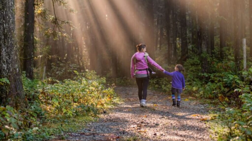 A woman and a child holding hands while walking on a forest path with sunlight streaming through the trees.