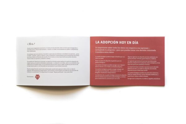 An open General Adoption Brochure - Spanish Version discussing current adoption practices, with sections on considerations and making informed decisions.