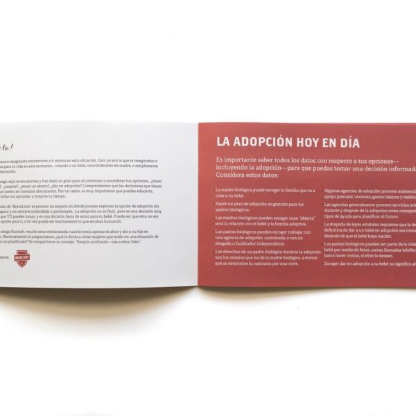 An open General Adoption Brochure - Spanish Version discussing current adoption practices, with sections on considerations and making informed decisions.