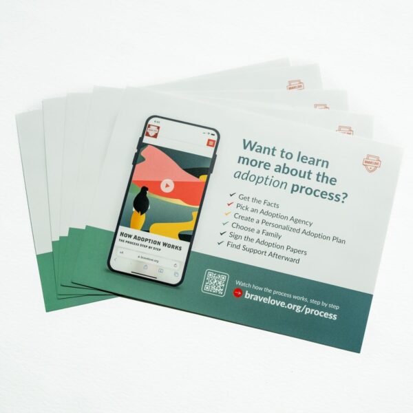 Stack of Adoption Process Flyers featuring a phone screen displaying adoption information and a checklist of steps.