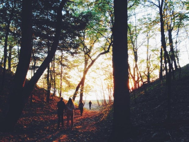 Four people walking on a forest path at sunset, framed by tall trees and with a vivid orange light in the background.