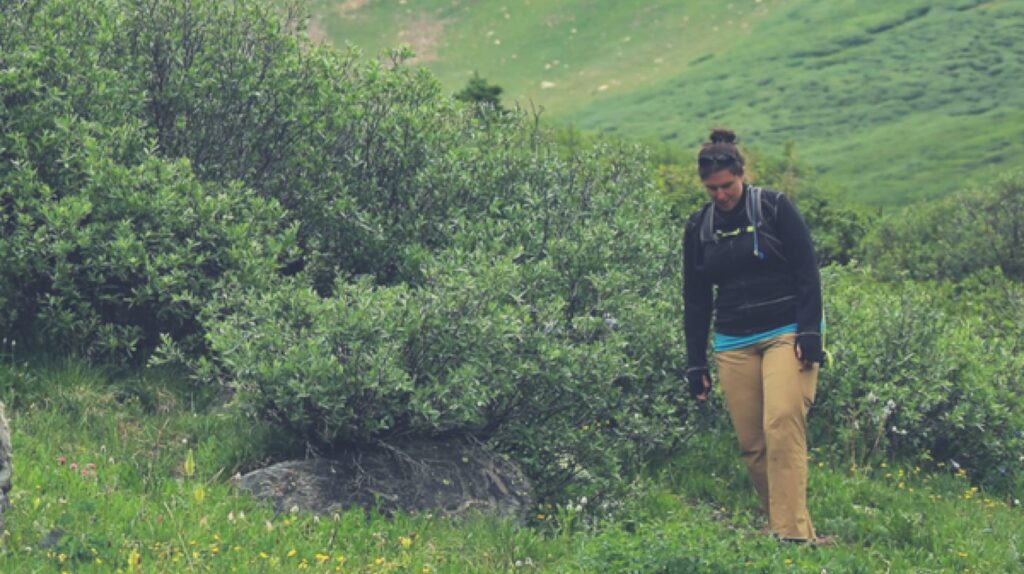 A person wearing a black jacket and beige pants walking through a lush, green meadow with bushes and wildflowers.