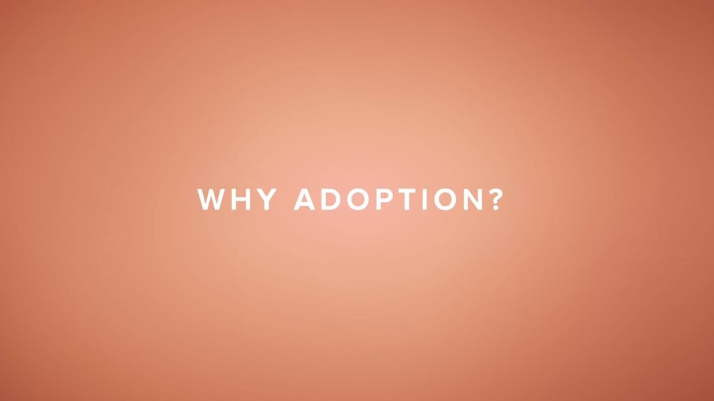 Why Adoption? Part 3