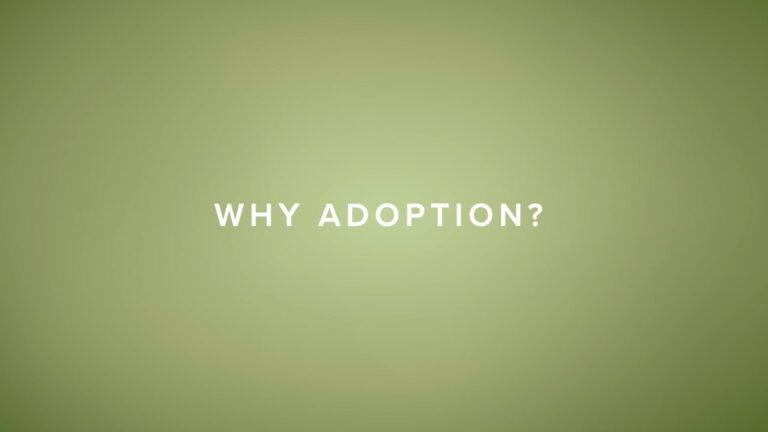 Why Adoption? Part 4